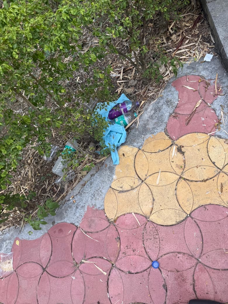 Community Hygiene & Dustbin Installation